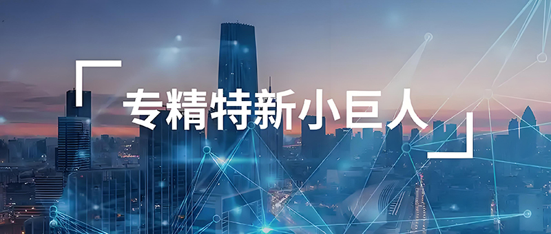 专精特新小巨人图2.jpg
